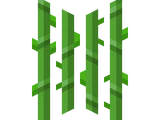 Sugar Cane