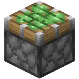 New Texture