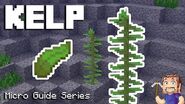 Kelp - Minecraft Micro Guide