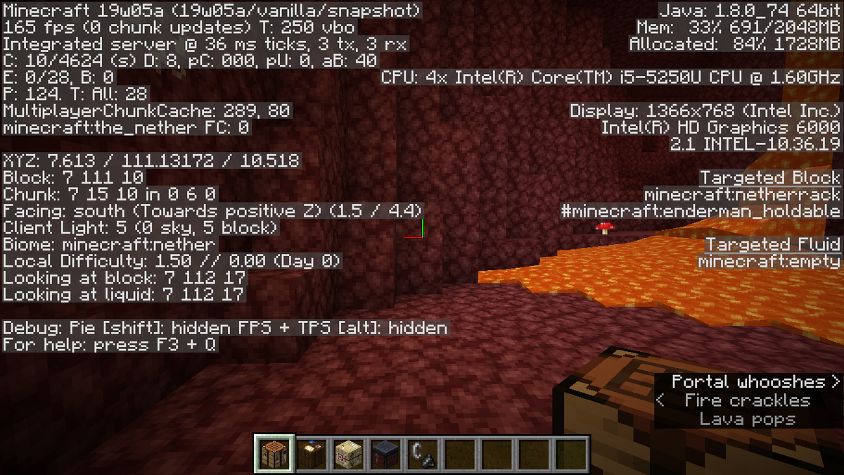 Debug Screen | Minecraft Wiki | Fandom
