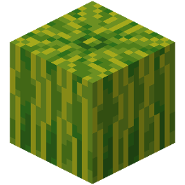 New Texture