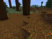 Some podzol in Minecraft: Bedrock Edition.