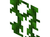 Vines