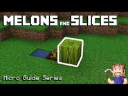 Melons - Minecraft Micro Guide