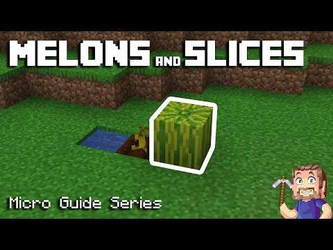 Melon Slice Minecraft Wiki Fandom
