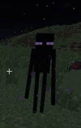 Enderman | Minecraft Wiki | Fandom