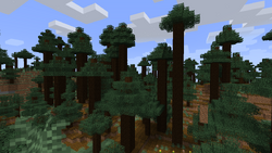 Giant Tree Taiga biome – Pixelmon Reforged Wiki