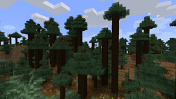 Giant Tree Taiga Biome, Minecraft Wiki