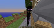 enderman, jolla on suu auki.