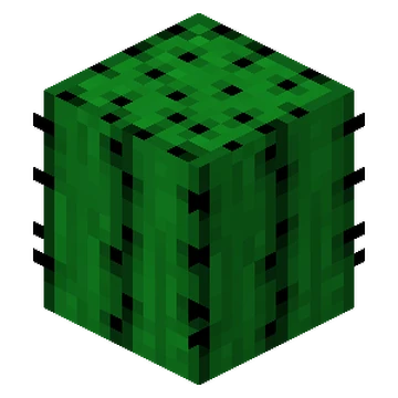 Cactus | Minecraft Wiki | Fandom