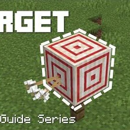 Target Minecraft Wiki Fandom