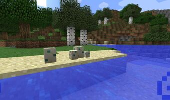 1 13 The Update Aquatic Minecraft Wiki Fandom