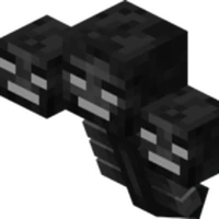 ウィザー マインクラフト Wiki Fandom
