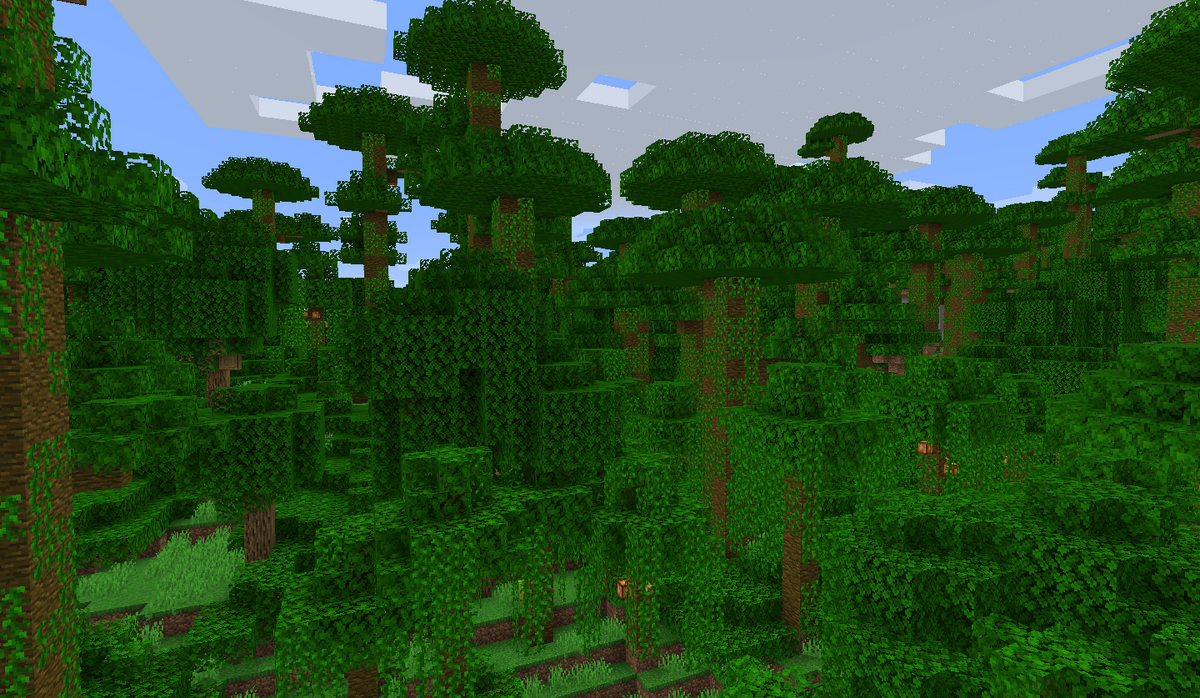 Rain Forest – Minecraft Wiki