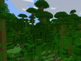 Jungle Biome