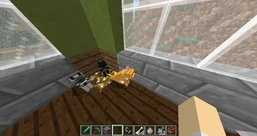 2016-02-24 09.17.38.png (243 KiB) Oranssi, siamialainen ja mustavalkoinen kissa.