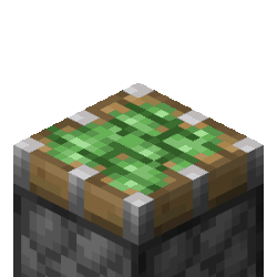 Blocks, Minecraft Wiki
