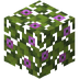 BloomingAzaleaLeaves.png