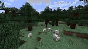 Where to find a taiga biome in Minecraft?