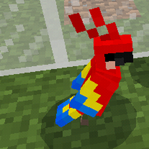 Parrot Gallery Minecraft Wiki Fandom