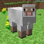 Goat, Minecraft Wiki