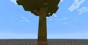 4.Valmis, iso viidakkopuu.