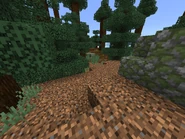 A patch of naturally generated coarse dirt.