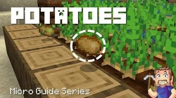 Potato Minecraft Wiki Fandom