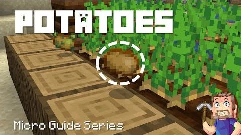 Poisonous Potato Minecraft Wiki Fandom