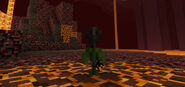 A Wither Rose in the Nether.