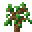 Grid Sadzonka.png