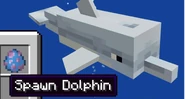 The dolphin and it’s previous Spawn Egg.