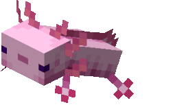 Axolotl | Minecraft Wiki | Fandom