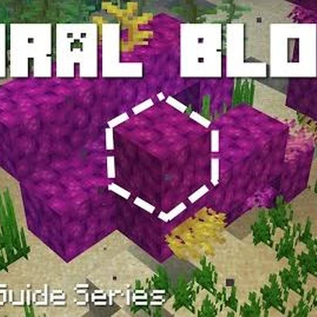 Coral Block Minecraft Wiki Fandom
