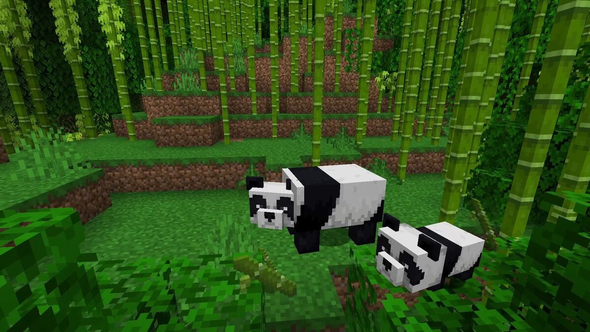 Panda – Official Minecraft Wiki  Minecraft pictures, Minecraft