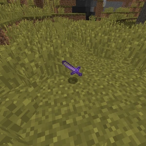 Sword Gallery Minecraft Wiki Fandom In minecraft, you can add powers to a netherite sword by enchanting it. sword gallery minecraft wiki fandom