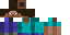 Skin | Minecraft Wiki | Fandom