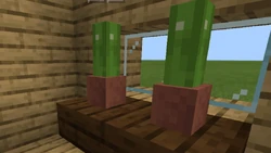 Cactus/Gallery | Minecraft Wiki | Fandom