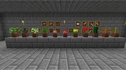 Ensimmäinen kuvankaappaus kukkaruukuista