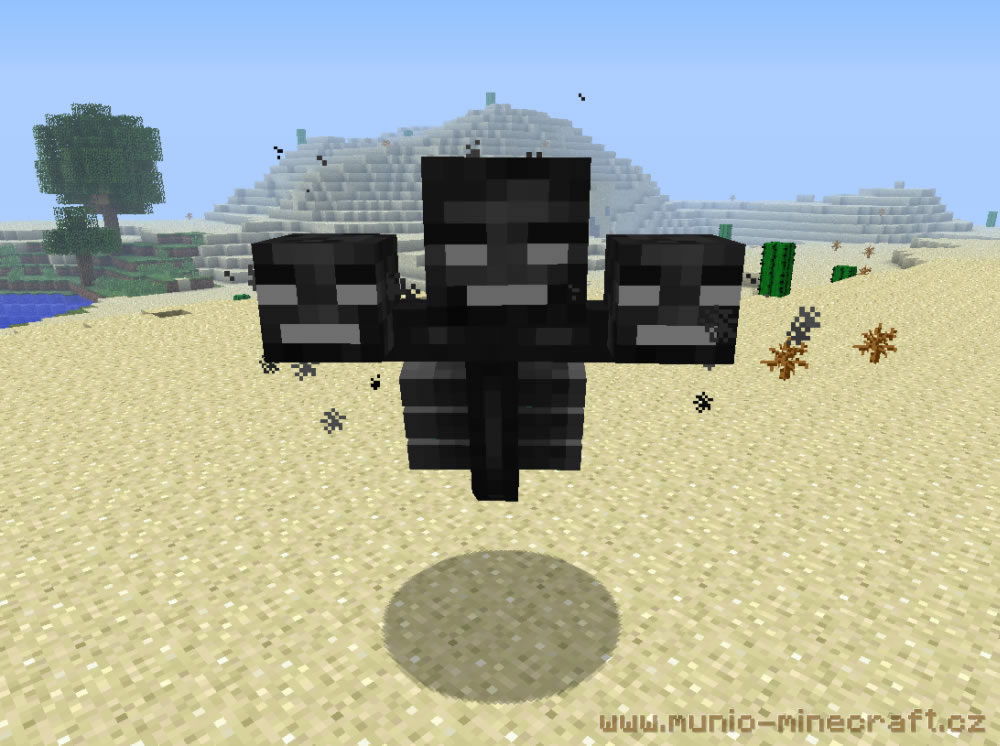 Raid captain - Minecraft Wiki