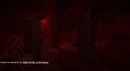 A person taking a screenshot of the crimson forest.