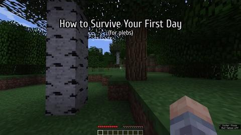 Survival Mode Guide