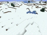 Snowy Tundra Biome