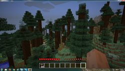 Giant Tree Taiga Biome, Minecraft Wiki