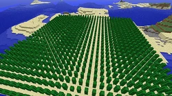Cactus/Gallery | Minecraft Wiki | Fandom