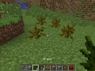 GrassBushShrub.png (516 KB) 4 shrubs.