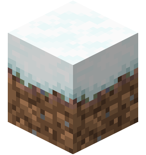 snow block