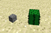 Cactus size