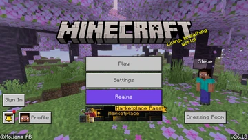 Bedrock_26.13