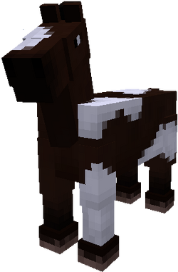 Burro - Minecraft Wiki